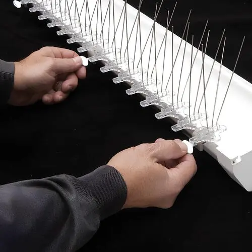 Best Premium Quality Bird Spikes for Pigeons in Hyderabad Sindhu Home Safety