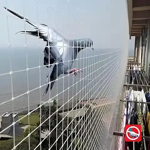 Pigeon Safety Nets in Hyderabad Sindhu Home Safety