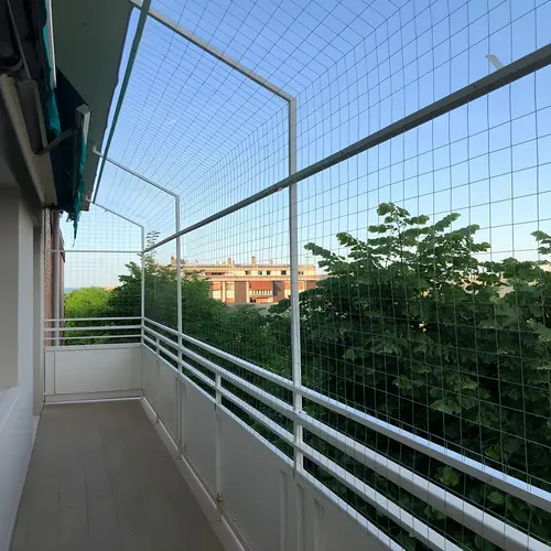 Premium Bird Netting Service in Hyderabad