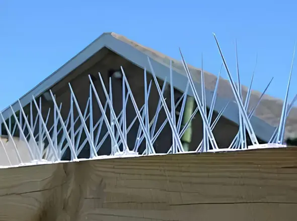 Premium Quality Anti Bird Spikes Projects by Sindhu Home Safety