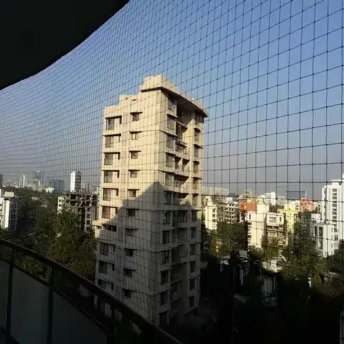 Premium Quality Bird Netting Service in Hyderabad